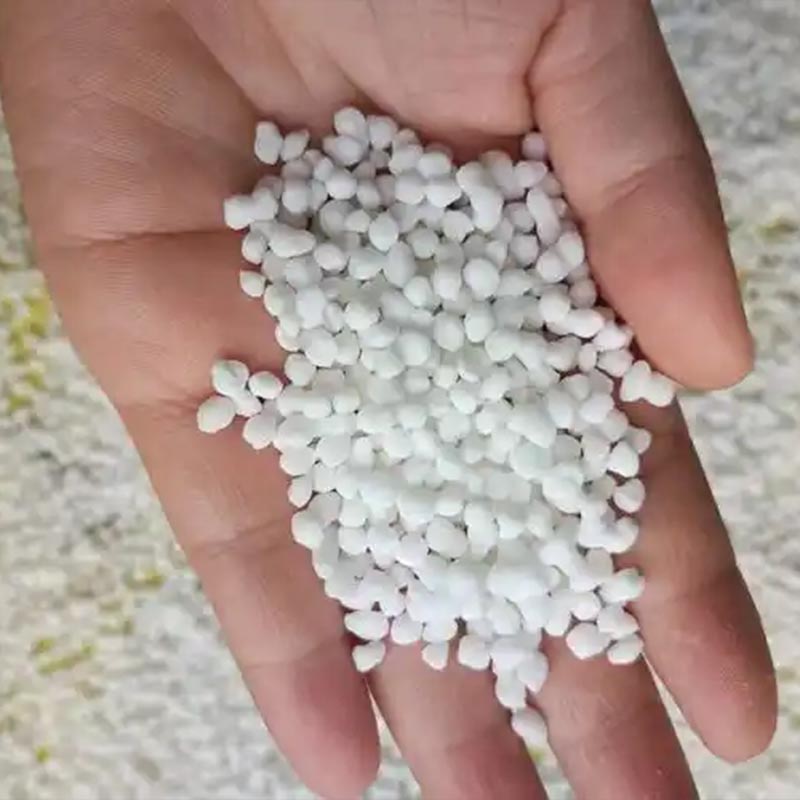 Untuk Dressing Dasar dan Atas